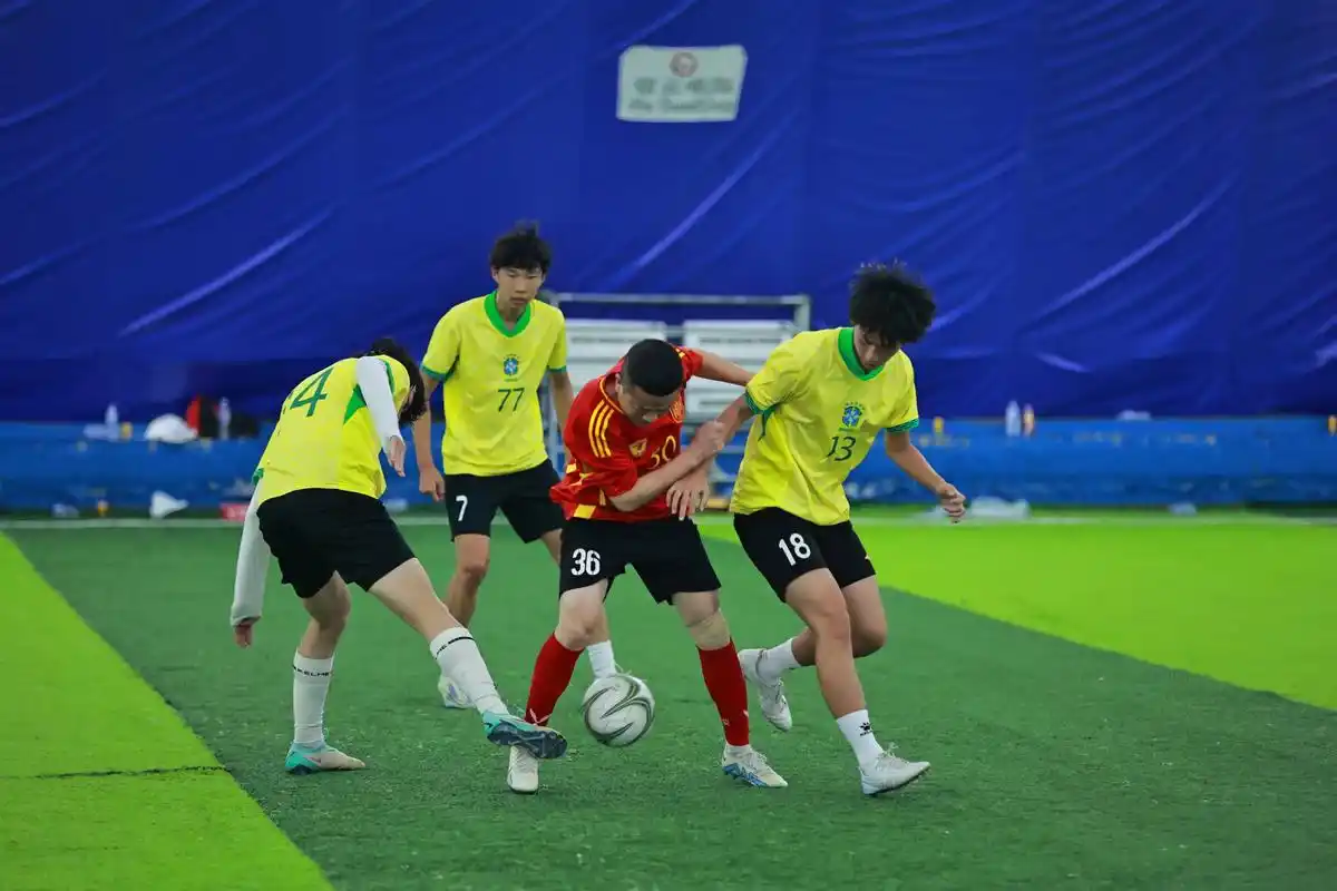 雨燕直播在线观看高清